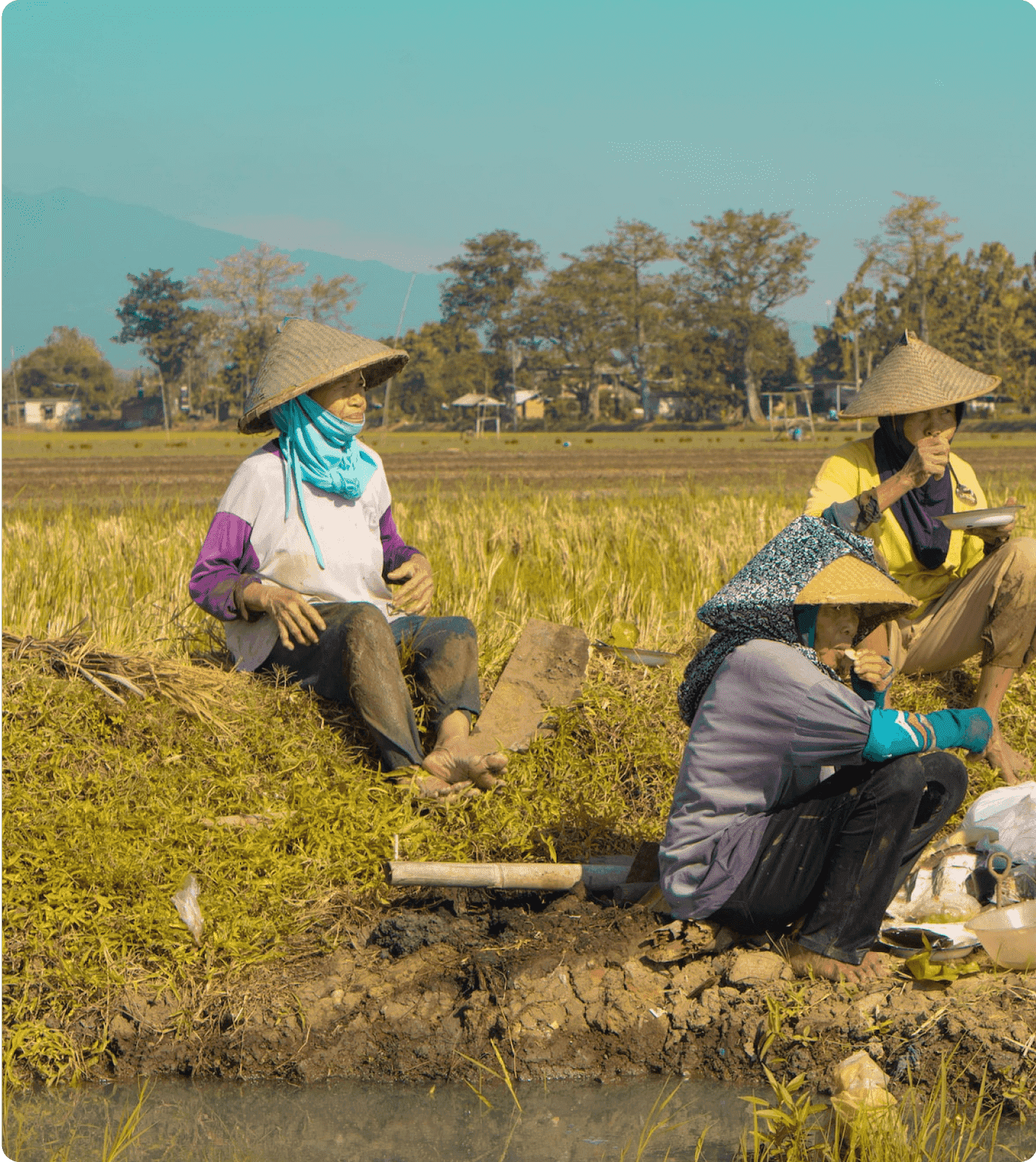 indotani - agriculture and food systems