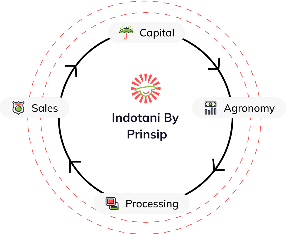 indotani - agriculture and food systems